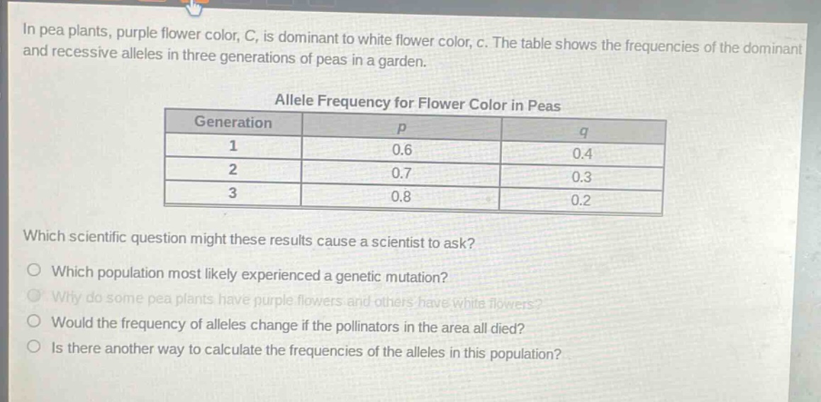 in pea plants, purple flower color, c, is dominant to white flower color, c. the table shows the frequencies of the dominant and recessive alleles in three generations of peas in a garden.\n\nallele frequency for flower color in peas\n| generation | p | q |\n| ---- | ---- | ---- |\n| 1 | 0.6 | 0.4 |\n| 2 | 0.7 | 0.3 |\n| 3 | 0.8 | 0.2 |\n\nwhich scientific question might these results cause a scientist to ask?\no which population most likely experienced a genetic mutation?\no why do some pea plants have purple flowers and others have white flowers?\no would the frequency of alleles change if the pollinators in the area all died?\no is there another way to calculate the frequencies of the alleles in this population?