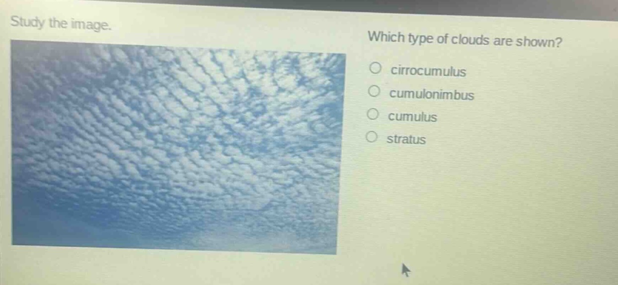 study the image. which type of clouds are shown? o cirrocumulus o cumulonimbus o cumulus o stratus