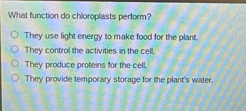 what function do chloroplasts perform?\nthey use light energy to make food for the plant.\nthey control the activities in the cell.\nthey produce proteins for the cell.\nthey provide temporary storage for the plants water.