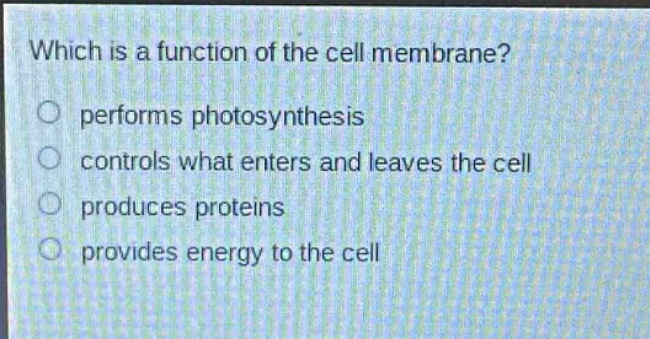which is a function of the cell membrane?\nperforms photosynthesis\ncontrols what enters and leaves the cell\nproduces proteins\nprovides energy to the cell