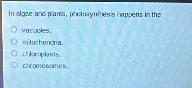 in algae and plants, photosynthesis happens in the\n○ vacuoles.\n○ mitochondria.\n○ chloroplasts.\n○ chromosomes.
