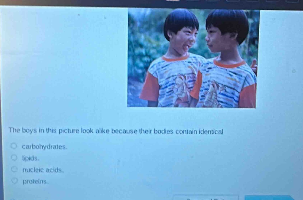 the boys in this picture look alike because their bodies contain identical\ncarbohydrates.\nlipids.\nnucleic acids.\nproteins.