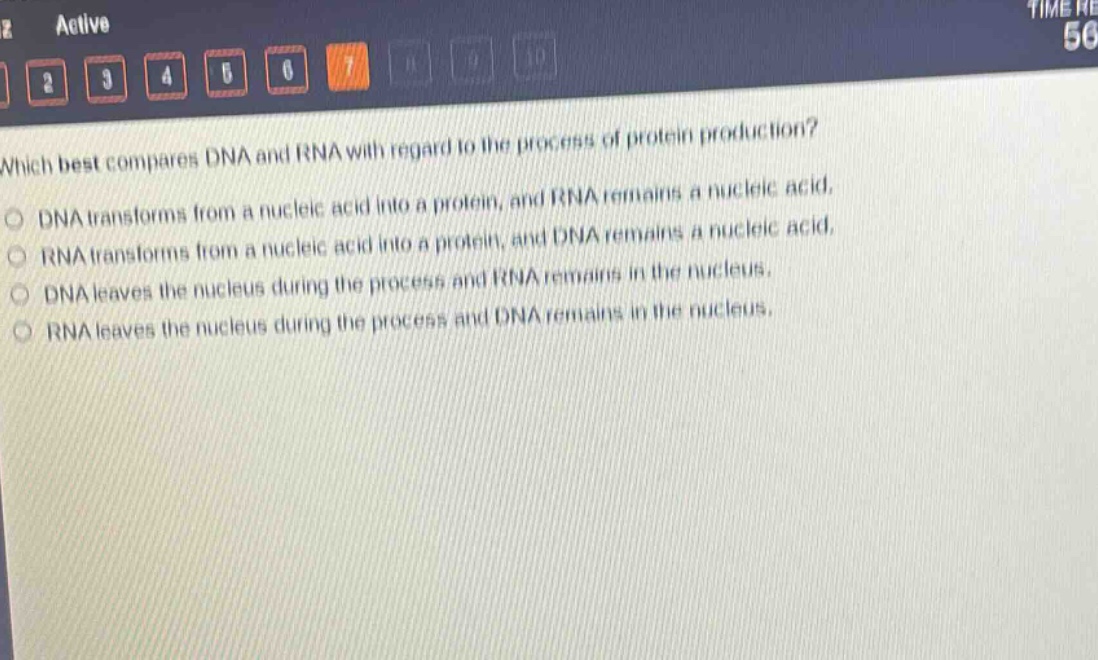 which best compares dna and rna with regard to the process of protein production?\ndna transforms from a nucleic acid into a protein, and rna remains a nucleic acid.\nrna transforms from a nucleic acid into a protein, and dna remains a nucleic acid.\ndna leaves the nucleus during the process and rna remains in the nucleus.\nrna leaves the nucleus during the process and dna remains in the nucleus.