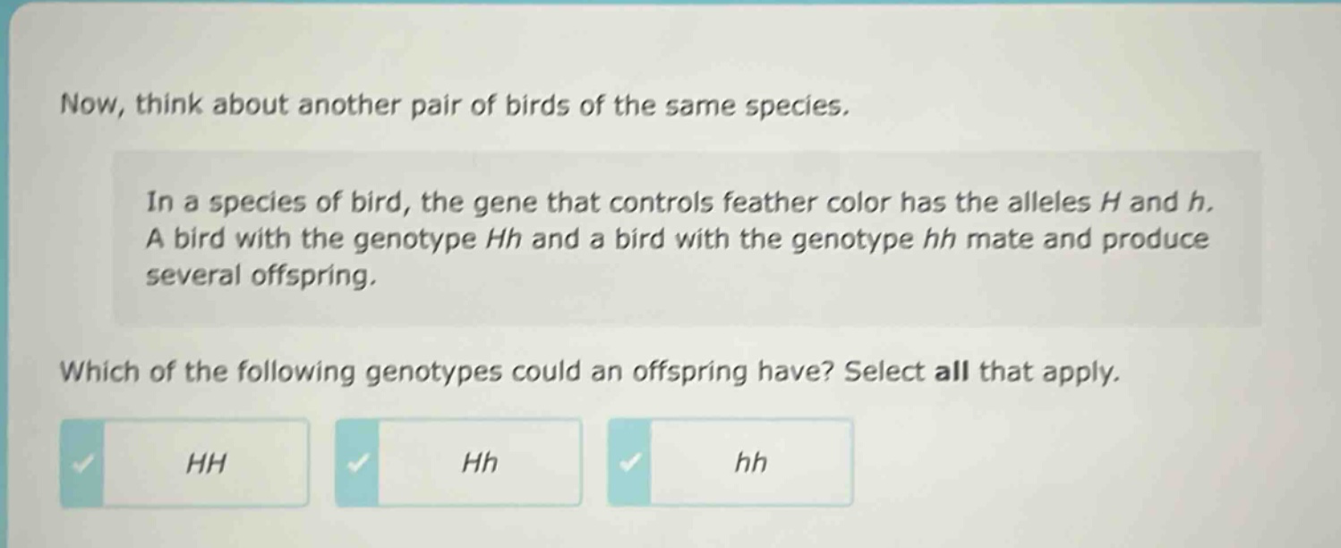 now, think about another pair of birds of the same species.\nin a species of bird, the gene that controls feather color has the alleles h and h. a bird with the genotype hh and a bird with the genotype hh mate and produce several offspring.\nwhich of the following genotypes could an offspring have? select all that apply.\nhh\nhh\nhh