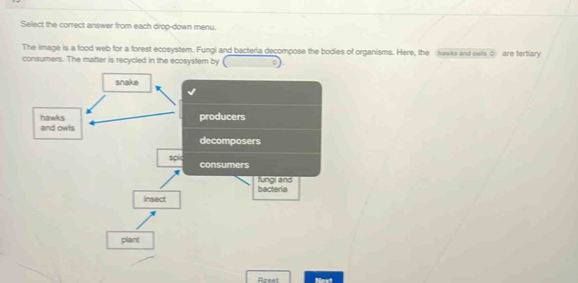select the correct answer from each drop - down menu. the image is a food web for a forest ecosystem. fungi and bacteria decompose the bodies of organisms. here, the hawks and owls are tertiary consumers. the matter is recycled in the ecosystem by