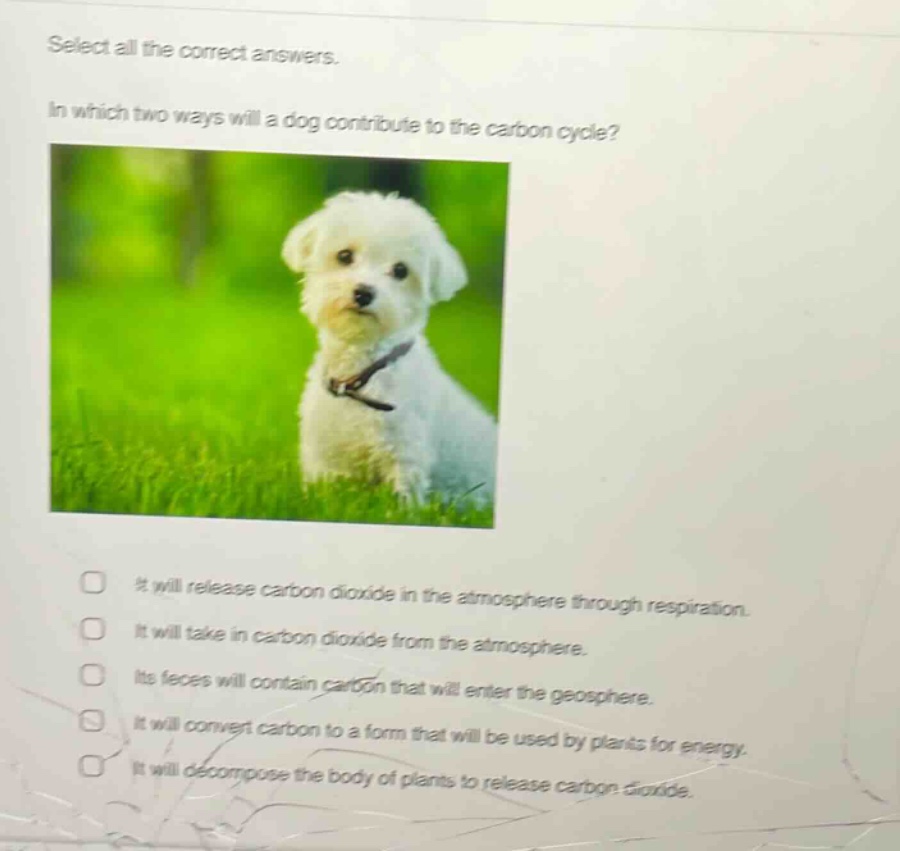 select all the correct answers.\nin which two ways will a dog contribute to the carbon cycle?\nit will release carbon dioxide in the atmosphere through respiration.\nit will take in carbon dioxide from the atmosphere.\nits feces will contain carbon that will enter the geosphere.\nit will convert carbon to a form that will be used by plants for energy.\nit will decompose the body of plants to release carbon dioxide.