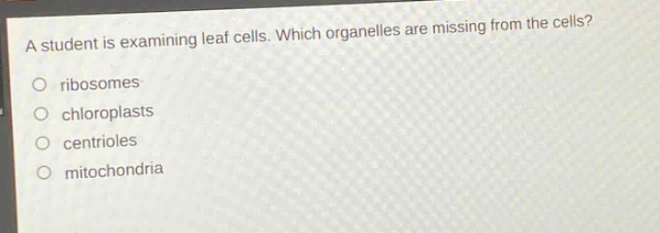 a student is examining leaf cells. which organelles are missing from the cells?\no ribosomes\no chloroplasts\no centrioles\no mitochondria