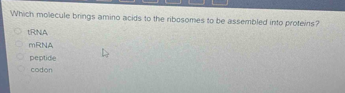 which molecule brings amino acids to the ribosomes to be assembled into proteins?\ntrna\nmrna\npeptide\ncodon