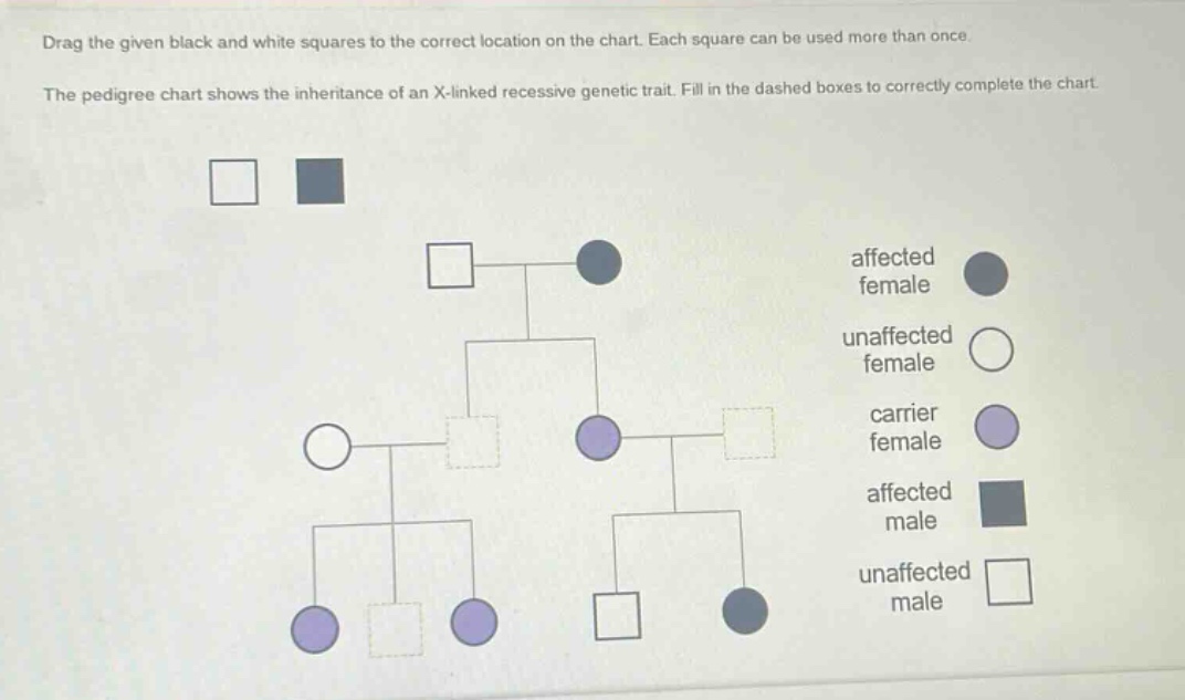 drag the given black and white squares to the correct location on the chart. each square can be used more than once. the pedigree chart shows the inheritance of an x - linked recessive genetic trait. fill in the dashed boxes to correctly complete the chart.