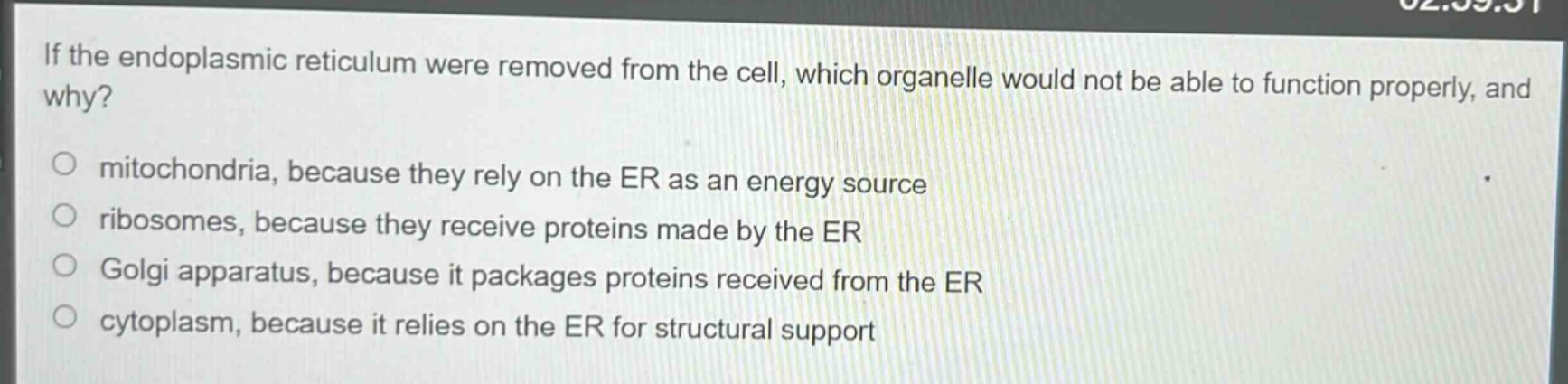 if the endoplasmic reticulum were removed from the cell, which organelle would not be able to function properly, and why?\nmitochondria, because they rely on the er as an energy source\nribosomes, because they receive proteins made by the er\ngolgi apparatus, because it packages proteins received from the er\ncytoplasm, because it relies on the er for structural support