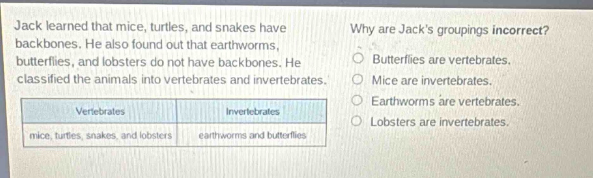 jack learned that mice, turtles, and snakes have backbones. he also found out that earthworms, butterflies, and lobsters do not have backbones. he classified the animals into vertebrates and invertebrates.\n\n|vertebrates|invertebrates|\n|----|----|\n|mice, turtles, snakes, and lobsters|earthworms and butterflies|\n\nwhy are jacks groupings incorrect?\nbutterflies are vertebrates.\nmice are invertebrates.\nearthworms are vertebrates.\nlobsters are invertebrates.