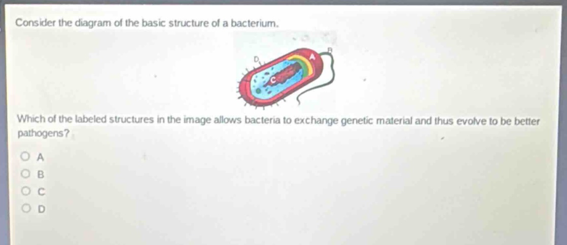 consider the diagram of the basic structure of a bacterium. which of the labeled structures in the image allows bacteria to exchange genetic material and thus evolve to be better pathogens?\no a\no b\no c\no d