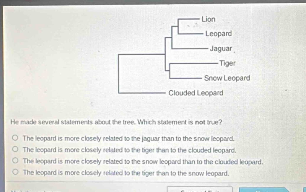 he made several statements about the tree. which statement is not true?\nthe leopard is more closely related to the jaguar than to the snow leopard.\nthe leopard is more closely related to the tiger than to the clouded leopard.\nthe leopard is more closely related to the snow leopard than to the clouded leopard.\nthe leopard is more closely related to the tiger than to the snow leopard.