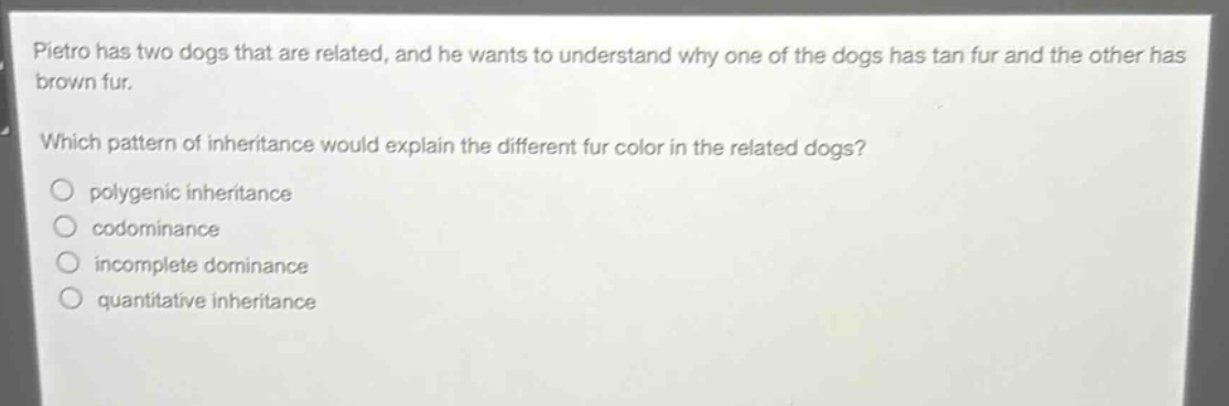 pietro has two dogs that are related, and he wants to understand why one of the dogs has tan fur and the other has brown fur. which pattern of inheritance would explain the different fur color in the related dogs?\npolygenic inheritance\ncodominance\nincomplete dominance\nquantitative inheritance