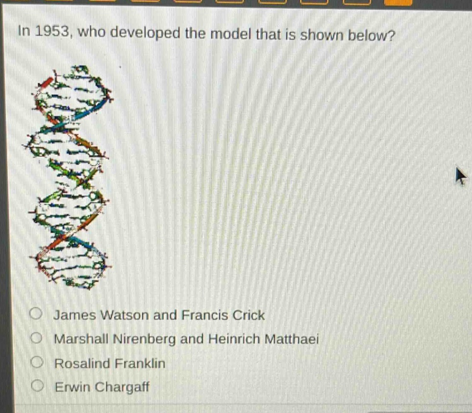 in 1953, who developed the model that is shown below?\njames watson and francis crick\nmarshall nirenberg and heinrich matthaei\nrosalind franklin\nerwin chargaff