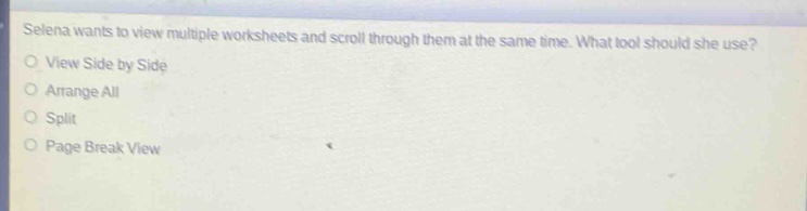 selena wants to view multiple worksheets and scroll through them at the same time. what tool should she use?\nview side by side\narrange all\nsplit\npage break view