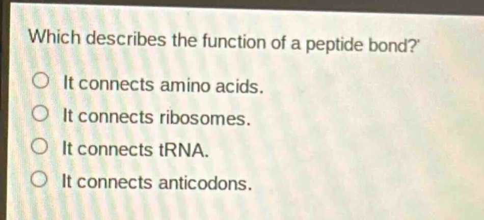 which describes the function of a peptide bond?\nit connects amino acids.\nit connects ribosomes.\nit connects trna.\nit connects anticodons.