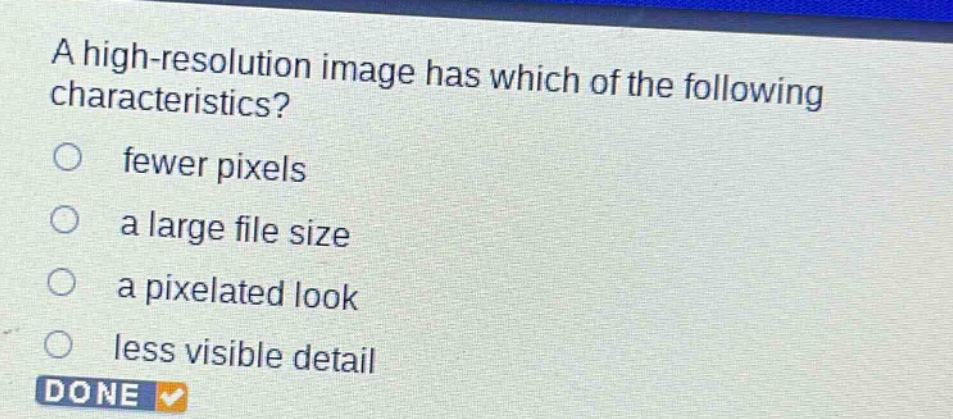 a high - resolution image has which of the following characteristics?\n○ fewer pixels\n○ a large file size\n○ a pixelated look\n○ less visible detail