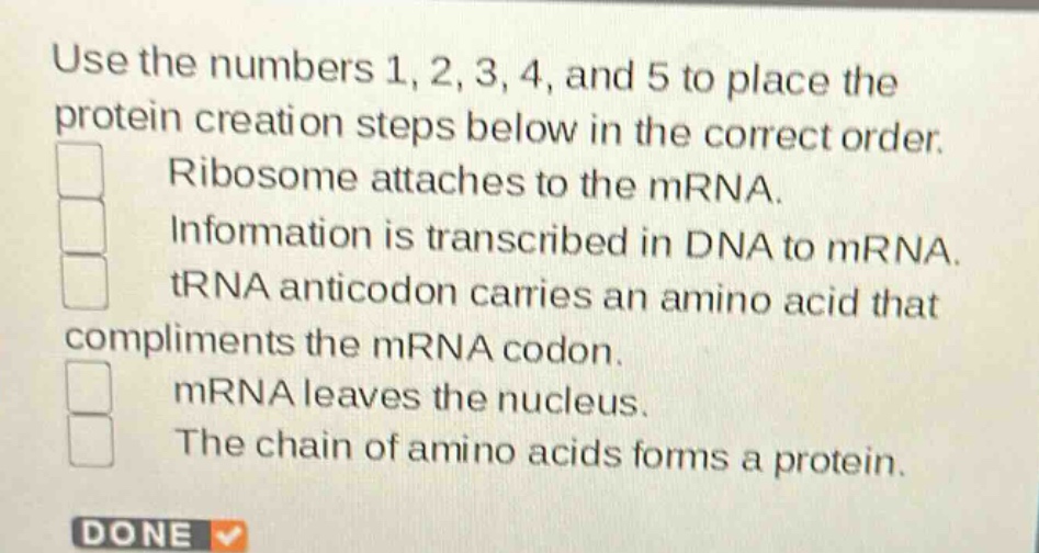 use the numbers 1, 2, 3, 4, and 5 to place the protein creation steps below in the correct order.\nribosome attaches to the mrna.\ninformation is transcribed in dna to mrna.\ntrna anticodon carries an amino acid that compliments the mrna codon.\nmrna leaves the nucleus.\nthe chain of amino acids forms a protein.