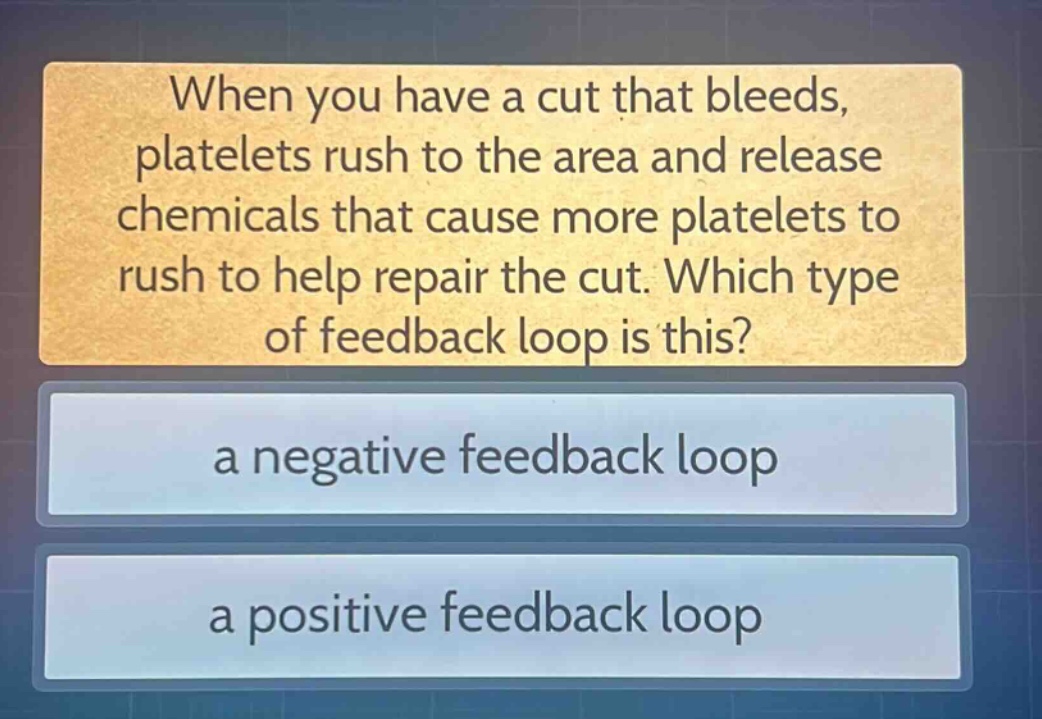 when you have a cut that bleeds, platelets rush to the area and release chemicals that cause more platelets to rush to help repair the cut. which type of feedback loop is this?\na negative feedback loop\na positive feedback loop