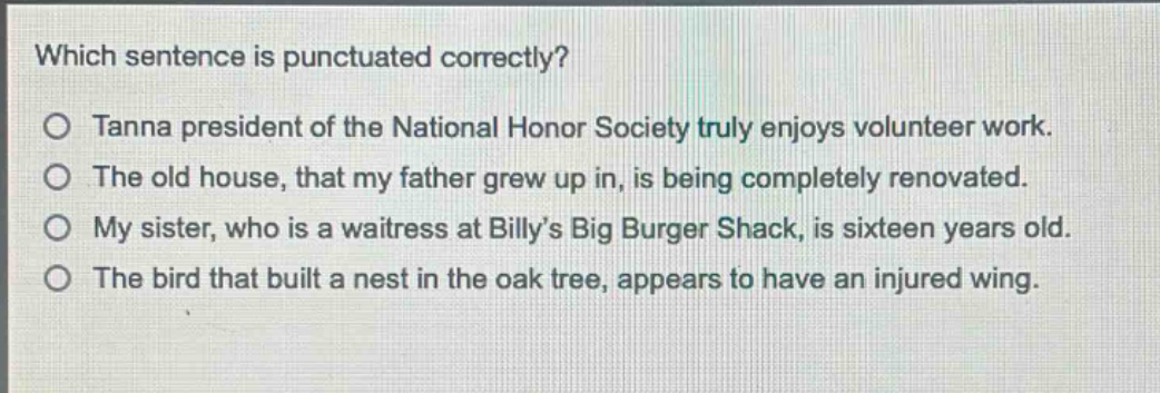 which sentence is punctuated correctly?\no tanna president of the national honor society truly enjoys volunteer work.\no the old house, that my father grew up in, is being completely renovated.\no my sister, who is a waitress at billys big burger shack, is sixteen years old.\no the bird that built a nest in the oak tree, appears to have an injured wing.