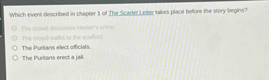 which event described in chapter 1 of the scarlet letter takes place before the story begins?\nthe crowd discusses hesters crime.\nthe crowd walks to the scaffold.\nthe puritans elect officials.\nthe puritans erect a jail.