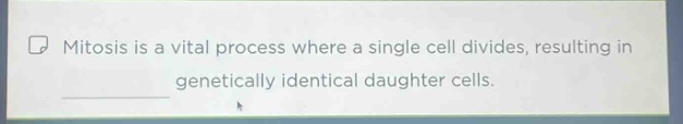 mitosis is a vital process where a single cell divides, resulting in genetically identical daughter cells.