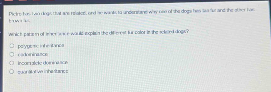 pietro has two dogs that are related, and he wants to understand why one of the dogs has tan fur and the other has brown fur.\nwhich pattern of inheritance would explain the different fur color in the related dogs?\n○ polygenic inheritance\n○ codominance\n○ incomplete dominance\n○ quantitative inheritance