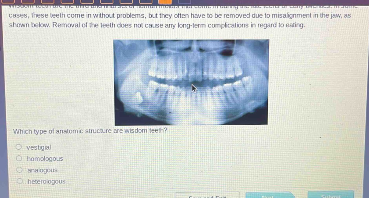 wisdom teeth are the third and final set of human molars that come in during the late teens or early twenties. in some cases, these teeth come in without problems, but they often have to be removed due to misalignment in the jaw, as shown below. removal of the teeth does not cause any long - term complications in regard to eating. which type of anatomic structure are wisdom teeth? vestigial homologous analogous heterologous