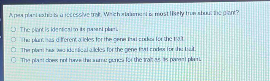 a pea plant exhibits a recessive trait. which statement is most likely true about the plant?\nthe plant is identical to its parent plant.\nthe plant has different alleles for the gene that codes for the trait.\nthe plant has two identical alleles for the gene that codes for the trait.\nthe plant does not have the same genes for the trait as its parent plant.