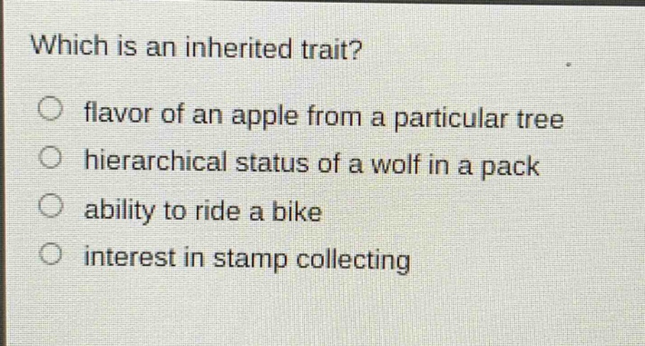 which is an inherited trait?\nflavor of an apple from a particular tree\nhierarchical status of a wolf in a pack\nability to ride a bike\ninterest in stamp collecting