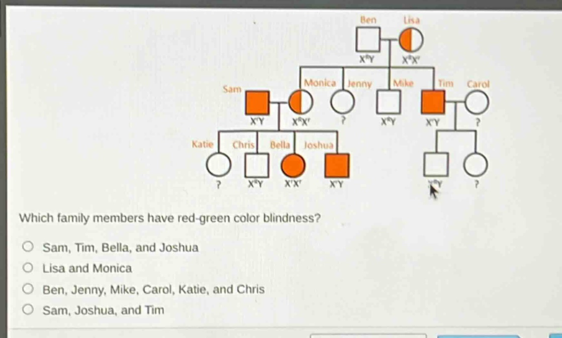 which family members have red - green color blindness?\no sam, tim, bella, and joshua\no lisa and monica\no ben, jenny, mike, carol, katie, and chris\no sam, joshua, and tim