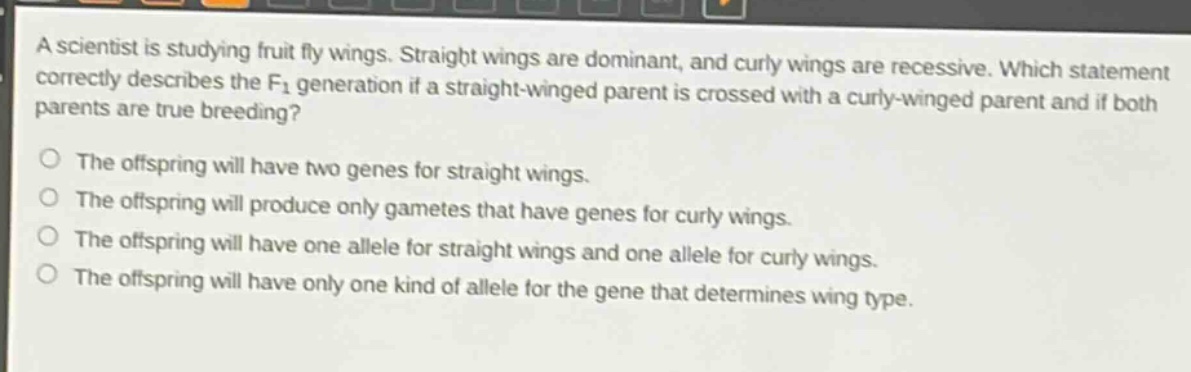 a scientist is studying fruit fly wings. straight wings are dominant, and curly wings are recessive. which statement correctly describes the f1 generation if a straight - winged parent is crossed with a curly - winged parent and if both parents are true breeding?\nthe offspring will have two genes for straight wings.\nthe offspring will produce only gametes that have genes for curly wings.\nthe offspring will have one allele for straight wings and one allele for curly wings.\nthe offspring will have only one kind of allele for the gene that determines wing type.