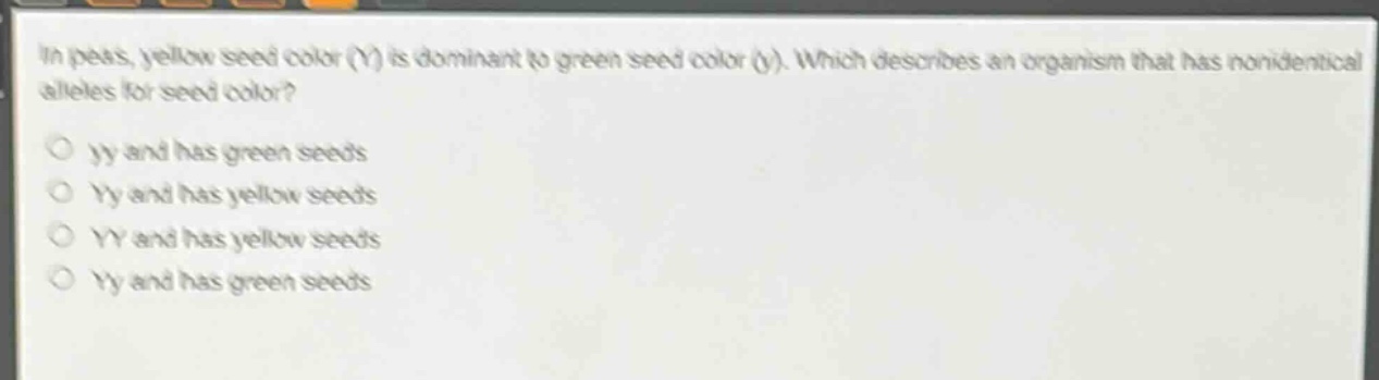 in peas, yellow seed color (y) is dominant to green seed color (y). which describes an organism that has non - identical alleles for seed color?\n○ yy and has green seeds\n○ yy and has yellow seeds\n○ yy and has yellow seeds\n○ yy and has green seeds