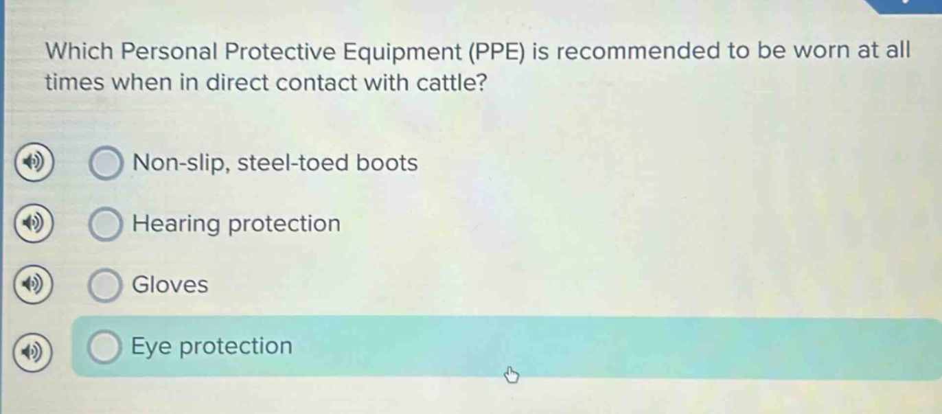 which personal protective equipment (ppe) is recommended to be worn at all times when in direct contact with cattle?\nnon - slip, steel - toed boots\nhearing protection\ngloves\neye protection