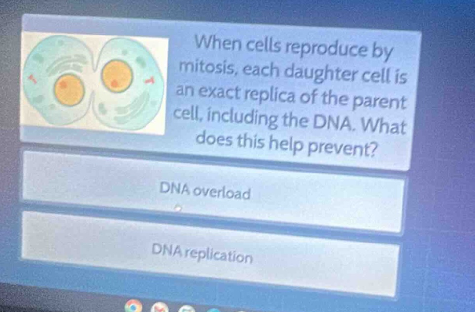 when cells reproduce by mitosis, each daughter cell is an exact replica of the parent cell, including the dna. what does this help prevent?\ndna overload\ndna replication