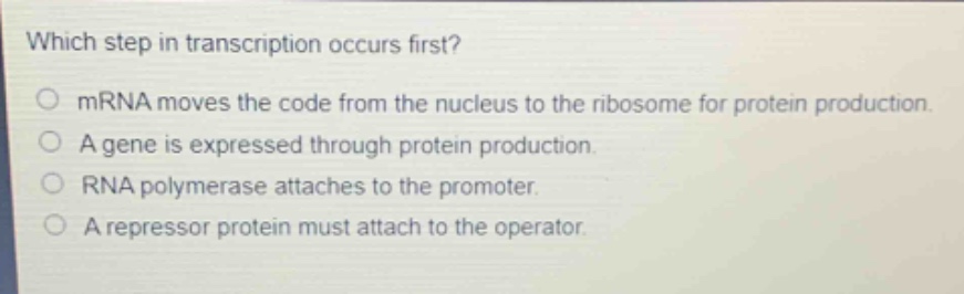 which step in transcription occurs first?\n○ mrna moves the code from the nucleus to the ribosome for protein production.\n○ a gene is expressed through protein production.\n○ rna polymerase attaches to the promoter.\n○ a repressor protein must attach to the operator.