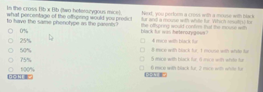 in the cross bb x bb (two heterozygous mice), what percentage of the offspring would you predict to have the same phenotype as the parents? 0% 25% 50% 75% 100% done next, you perform a cross with a mouse with black fur and a mouse with white fur. which result(s) for the offspring would confirm that the mouse with black fur was heterozygous? 4 mice with black fur 8 mice with black fur, 1 mouse with white fur 5 mice with black fur, 6 mice with white fur 6 mice with black fur, 2 mice with white fur done