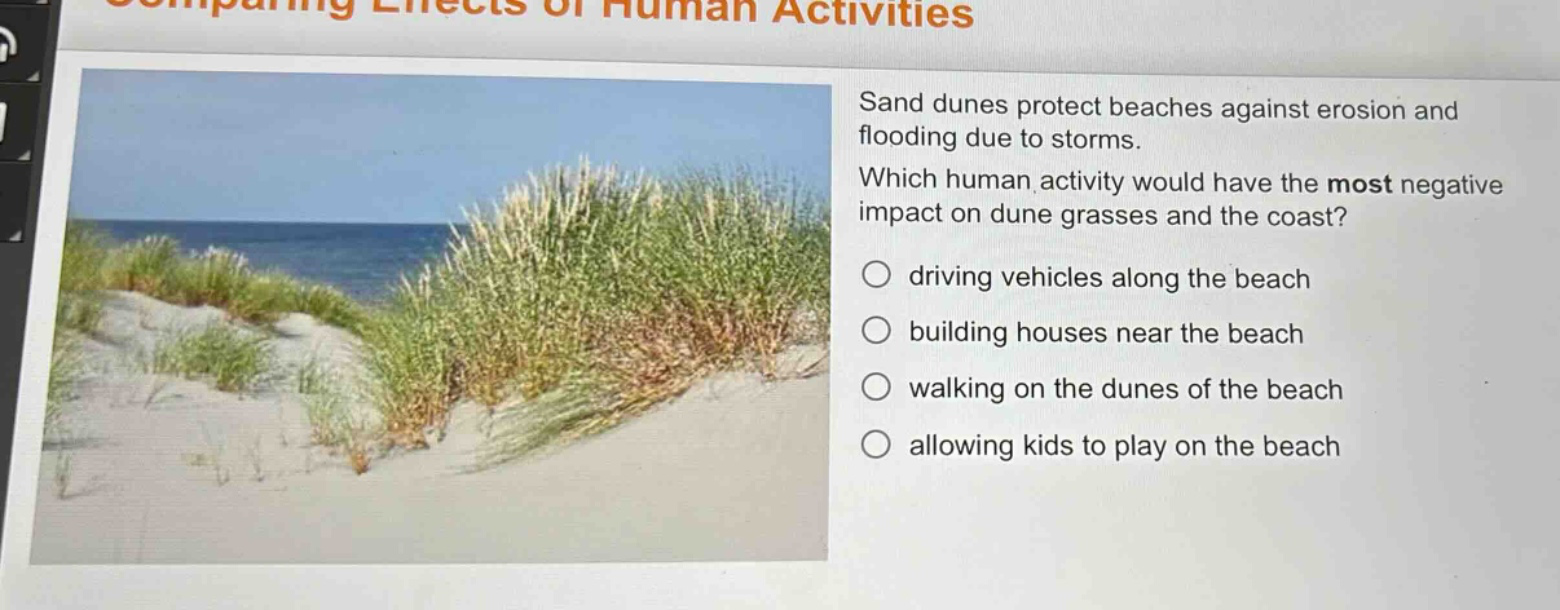 sand dunes protect beaches against erosion and flooding due to storms. which human activity would have the most negative impact on dune grasses and the coast?\n○ driving vehicles along the beach\n○ building houses near the beach\n○ walking on the dunes of the beach\n○ allowing kids to play on the beach