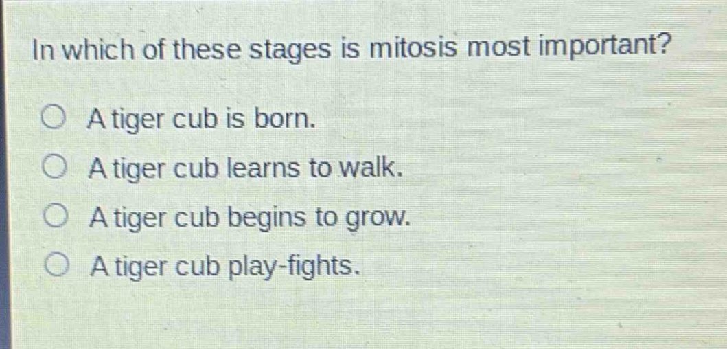 in which of these stages is mitosis most important?\n○ a tiger cub is born.\n○ a tiger cub learns to walk.\n○ a tiger cub begins to grow.\n○ a tiger cub play - fights.