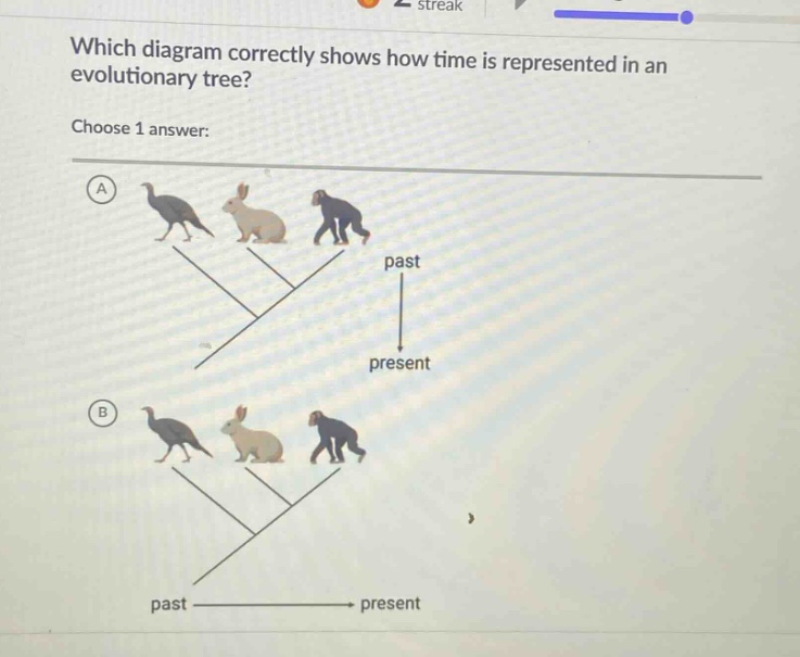 which diagram correctly shows how time is represented in an evolutionary tree? choose 1 answer: