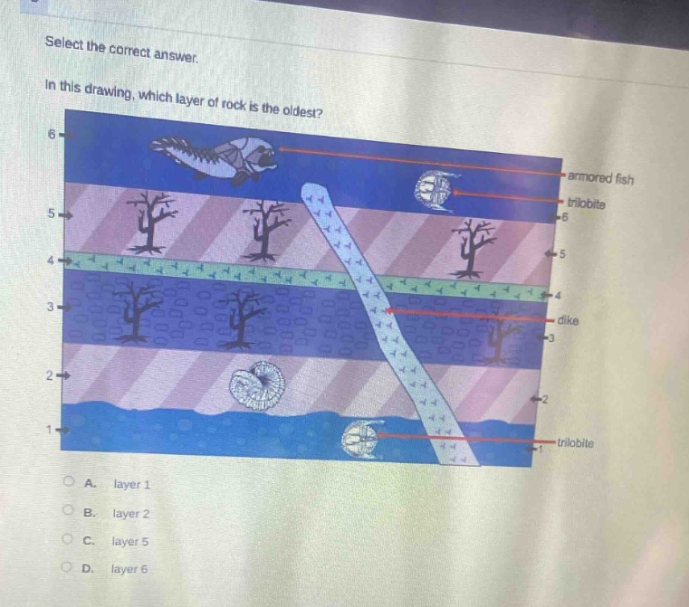 select the correct answer.\nin this drawing, which layer of rock is the oldest?\narmored fish\ntrilobite\ndike\ntrilobite\na. layer 1\nb. layer 2\nc. layer 5\nd. layer 6