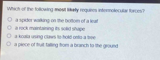which of the following most likely requires intermolecular forces?\no a spider walking on the bottom of a leaf\no a rock maintaining its solid shape\no a koala using claws to hold onto a tree\no a piece of fruit falling from a branch to the ground