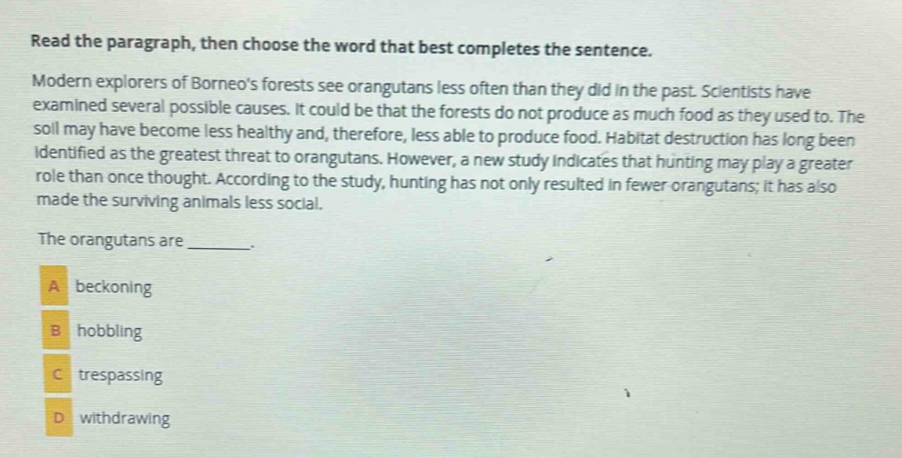 read the paragraph, then choose the word that best completes the sentence. modern explorers of borneos forests see orangutans less often than they did in the past. scientists have examined several possible causes. it could be that the forests do not produce as much food as they used to. the soil may have become less healthy and, therefore, less able to produce food. habitat destruction has long been identified as the greatest threat to orangutans. however, a new study indicates that hunting may play a greater role than once thought. according to the study, hunting has not only resulted in fewer orangutans; it has also made the surviving animals less social. the orangutans are _______. a beckoning b hobbling c trespassing d withdrawing