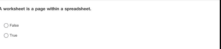 a worksheet is a page within a spreadsheet.\nfalse\ntrue