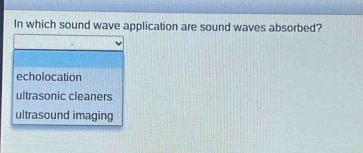 in which sound wave application are sound waves absorbed?\necholocation\nultrasonic cleaners\nultrasound imaging