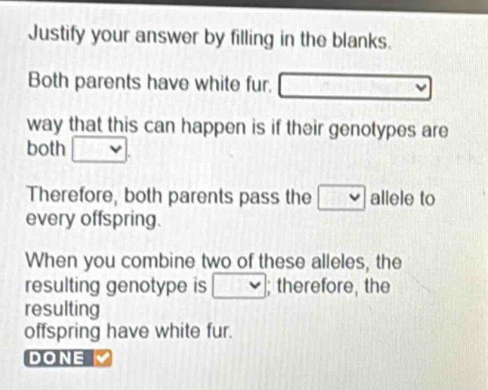 justify your answer by filling in the blanks. both parents have white fur. way that this can happen is if their genotypes are both. therefore, both parents pass the allele to every offspring. when you combine two of these alleles, the resulting genotype is ; therefore, the resulting offspring have white fur. done