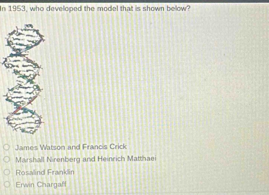 in 1953, who developed the model that is shown below?\n\njames watson and francis crick\nmarshall nirenberg and heinrich matthaei\nrosalind franklin\nerwin chargaff