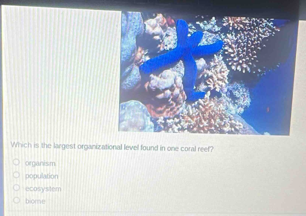 which is the largest organizational level found in one coral reef?\norganism\npopulation\necosystem\nbiome