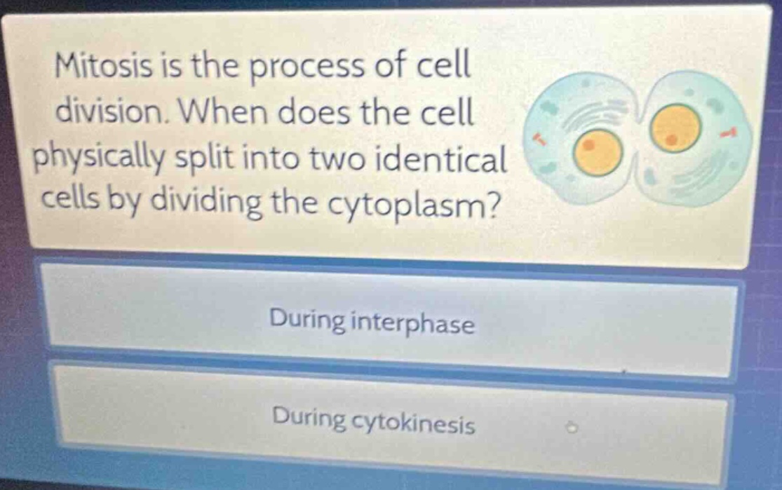 mitosis is the process of cell division. when does the cell physically split into two identical cells by dividing the cytoplasm?\nduring interphase\nduring cytokinesis
